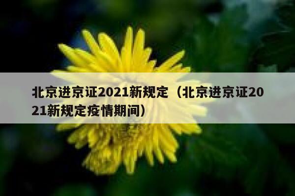 北京进京证2021新规定（北京进京证2021新规定疫情期间） 第1张