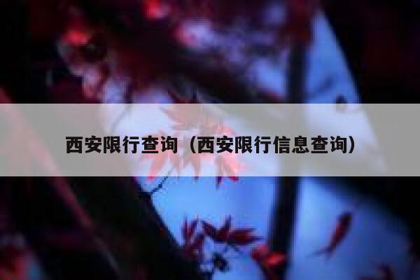 西安限行查询（西安限行信息查询） 第1张