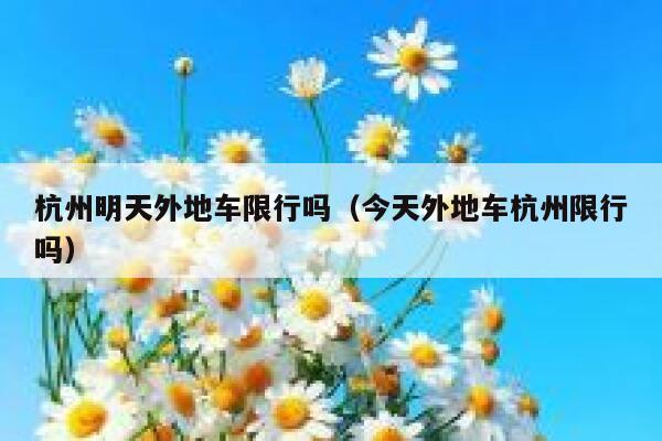 杭州明天外地车限行吗（今天外地车杭州限行吗） 第1张