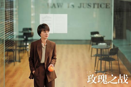 （玫瑰之战）电视剧百度云[1080p高清电影中字]百度网盘下载 第2张