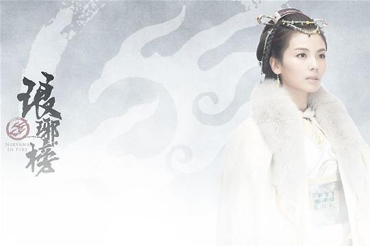 《琅琊榜》全集在线观看完整版高清电视剧（免费高清版）最新 第7张