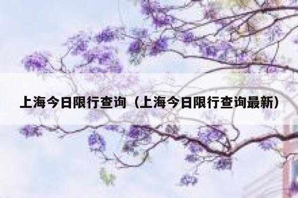 上海今日限行查询（上海今日限行查询最新） 第1张