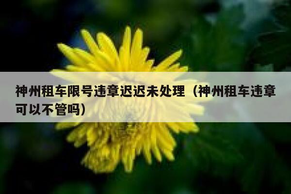神州租车限号违章迟迟未处理（神州租车违章可以不管吗） 第1张