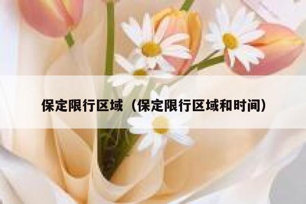 保定限行区域（保定限行区域和时间） 第1张