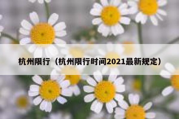 杭州限行（杭州限行时间2021最新规定） 第1张