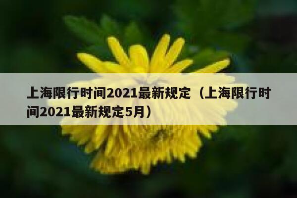上海限行时间2021最新规定（上海限行时间2021最新规定5月） 第1张
