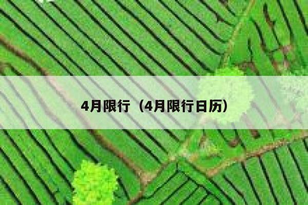 4月限行（4月限行日历） 第1张