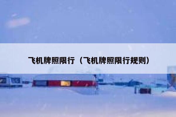 飞机牌照限行（飞机牌照限行规则） 第1张