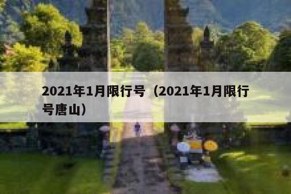 2021年1月限行号（2021年1月限行号唐山） 第1张
