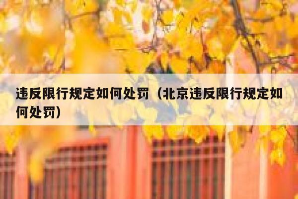 违反限行规定如何处罚（北京违反限行规定如何处罚） 第1张