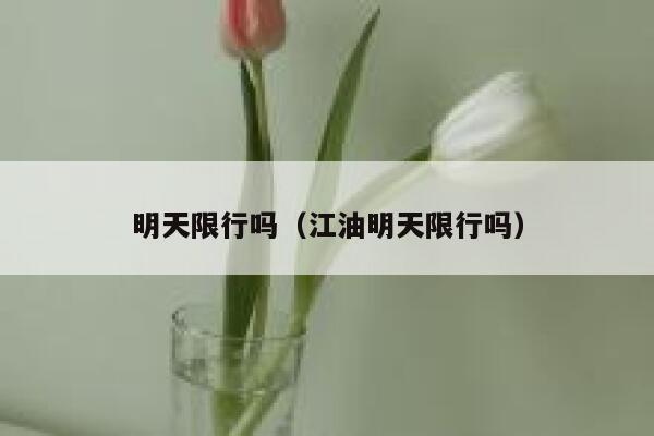 明天限行吗（江油明天限行吗） 第1张