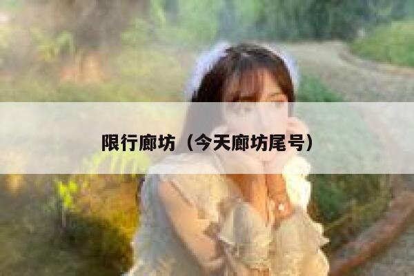 限行廊坊（今天廊坊尾号） 第1张