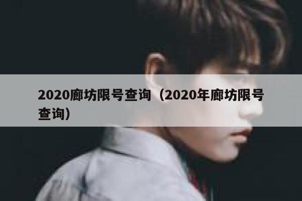 2020廊坊限号查询（2020年廊坊限号查询） 第1张