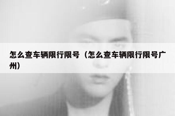 怎么查车辆限行限号（怎么查车辆限行限号广州） 第1张