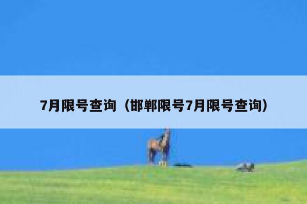 7月限号查询（邯郸限号7月限号查询） 第1张