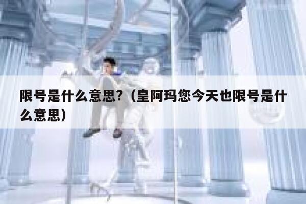 限号是什么意思?（皇阿玛您今天也限号是什么意思） 第1张