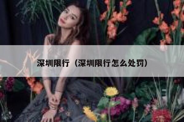 深圳限行（深圳限行怎么处罚） 第1张