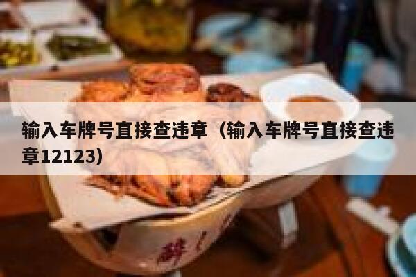 输入车牌号直接查违章（输入车牌号直接查违章12123） 第1张