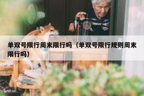 单双号限行周末限行吗（单双号限行规则周末限行吗） 第1张