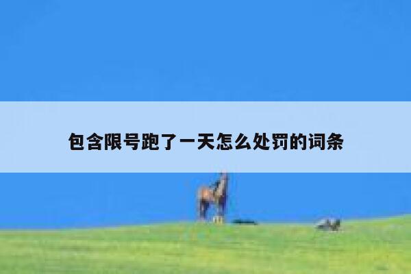 包含限号跑了一天怎么处罚的词条 第1张