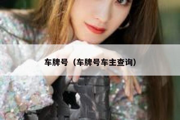 车牌号（车牌号车主查询） 第1张