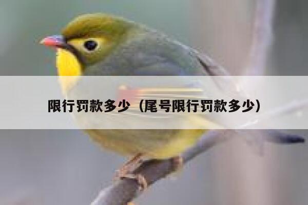 限行罚款多少（尾号限行罚款多少） 第1张