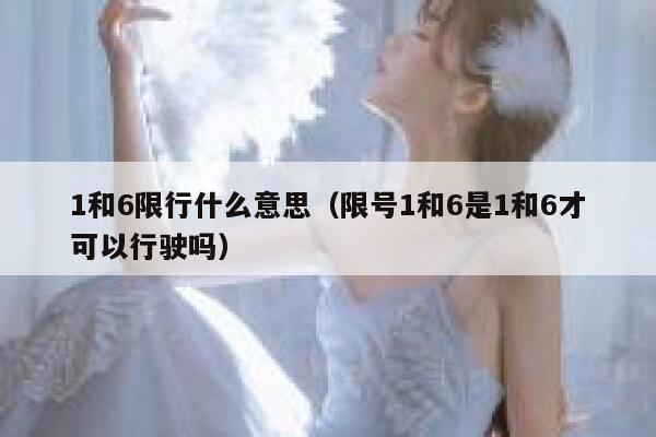 1和6限行什么意思（限号1和6是1和6才可以行驶吗） 第1张