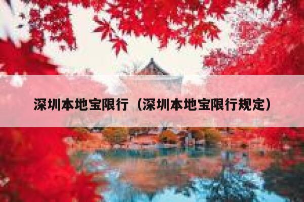 深圳本地宝限行（深圳本地宝限行规定） 第1张