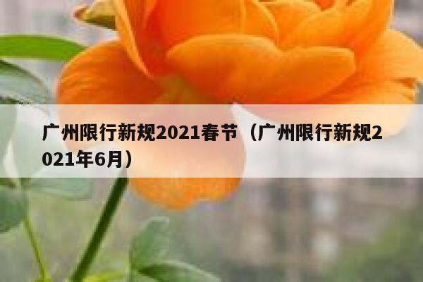 广州限行新规2021春节（广州限行新规2021年6月） 第1张