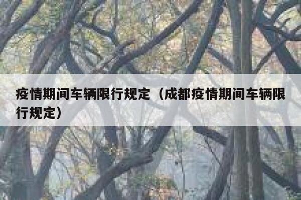 疫情期间车辆限行规定（成都疫情期间车辆限行规定） 第1张