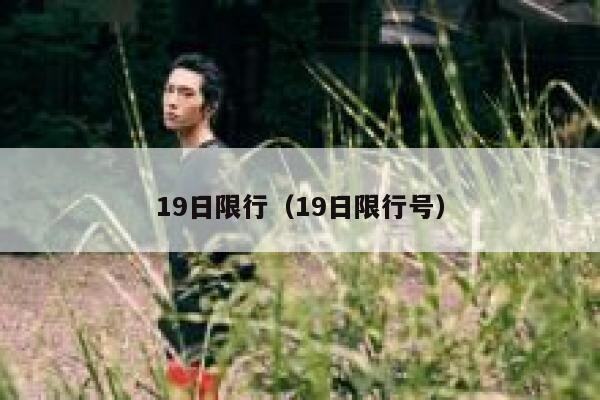 19日限行（19日限行号） 第1张