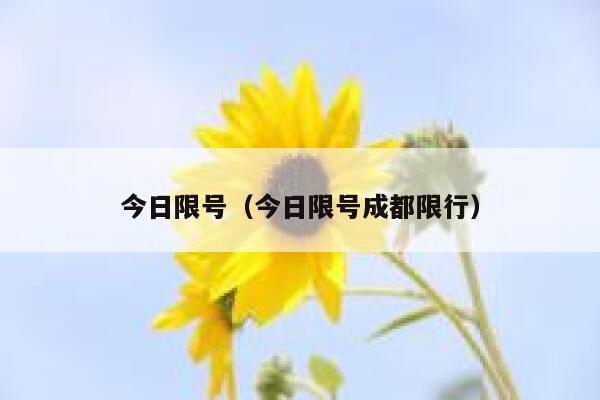 今日限号（今日限号成都限行） 第1张