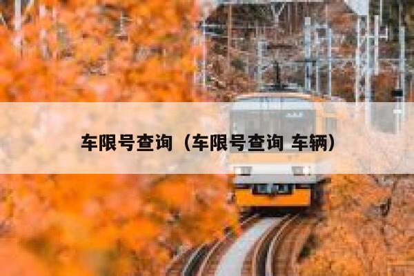 车限号查询（车限号查询 车辆） 第1张