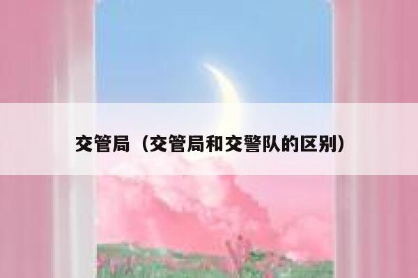 交管局（交管局和交警队的区别） 第1张