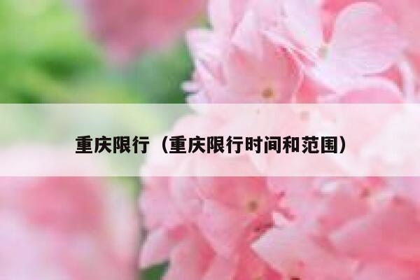 重庆限行（重庆限行时间和范围） 第1张