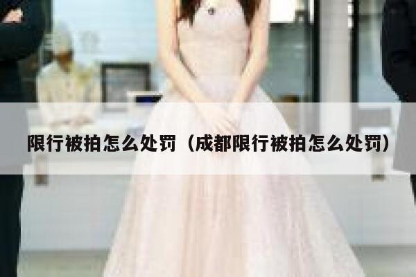 限行被拍怎么处罚（成都限行被拍怎么处罚） 第1张