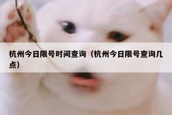 杭州今日限号时间查询（杭州今日限号查询几点） 第1张
