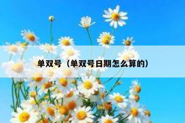单双号（单双号日期怎么算的） 第1张