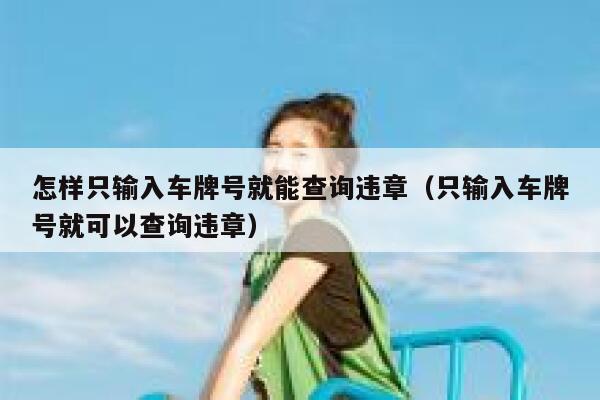 怎样只输入车牌号就能查询违章（只输入车牌号就可以查询违章） 第1张