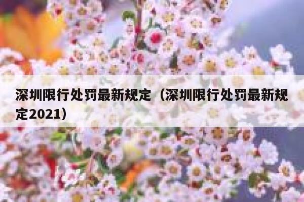 深圳限行处罚最新规定（深圳限行处罚最新规定2021） 第1张