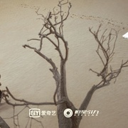 《苍兰诀》全集百度云【1280P网盘共享】超清晰画质 第5张