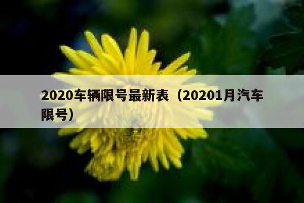2020车辆限号最新表（20201月汽车限号） 第1张