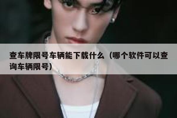 查车牌限号车辆能下载什么（哪个软件可以查询车辆限号） 第1张