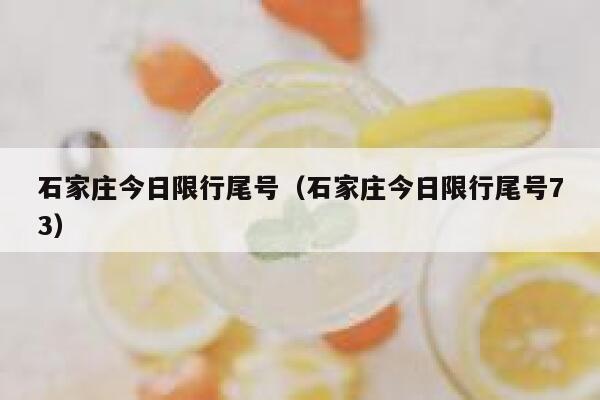石家庄今日限行尾号（石家庄今日限行尾号73） 第1张