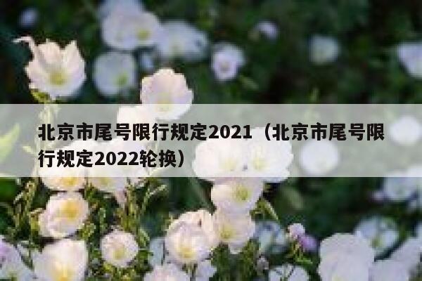 北京市尾号限行规定2021（北京市尾号限行规定2022轮换） 第1张