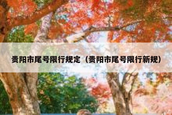 贵阳市尾号限行规定（贵阳市尾号限行新规） 第1张