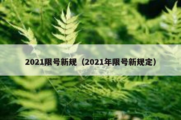 2021限号新规（2021年限号新规定） 第1张