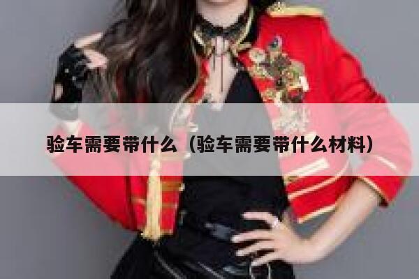 验车需要带什么（验车需要带什么材料） 第1张
