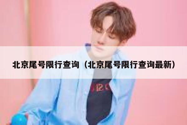 北京尾号限行查询（北京尾号限行查询最新） 第1张