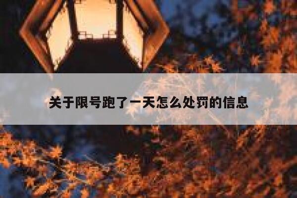 关于限号跑了一天怎么处罚的信息 第1张